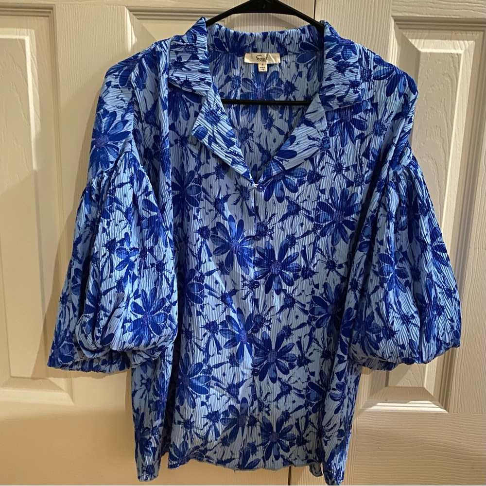 Easel Los Angeles Blue Floral Blouse with Puff Sleeves